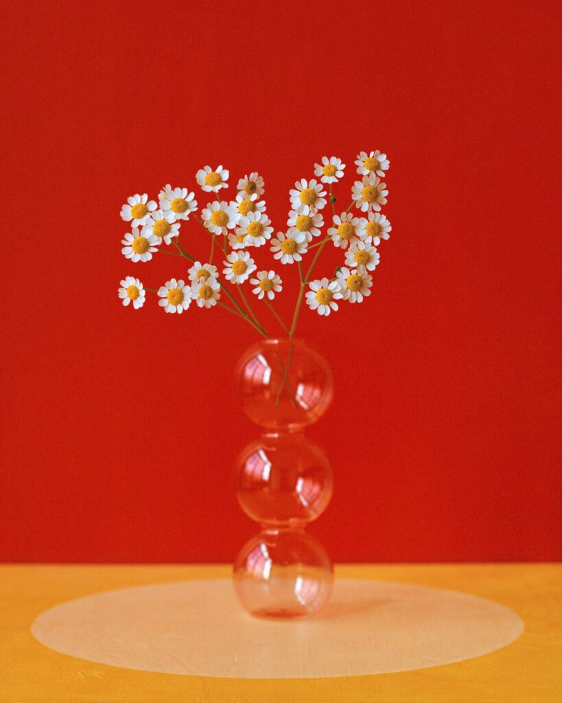 Kate Friend's flower photographs